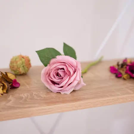 Grandeur - Free Parking Apartment